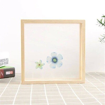 Mini Art Fashion Vintage Photo Frame Plant specimen Picture