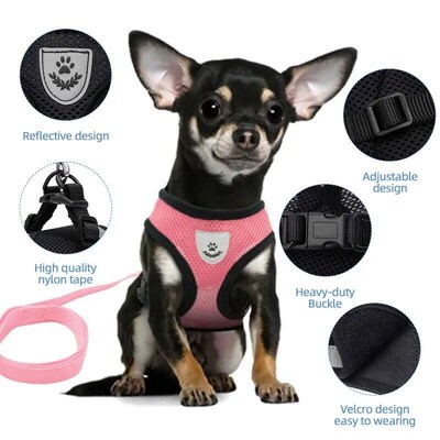 Cat Harness Leash Set for Small Dogs Adjustable Puppy Cat Ha