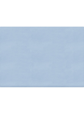 Leather table mat, scald resistant, wash free, leather table