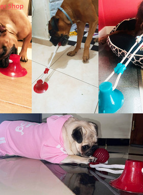 Dog Toys Interactive Suction Cup Push TPR Ball Toys Pet Pupp