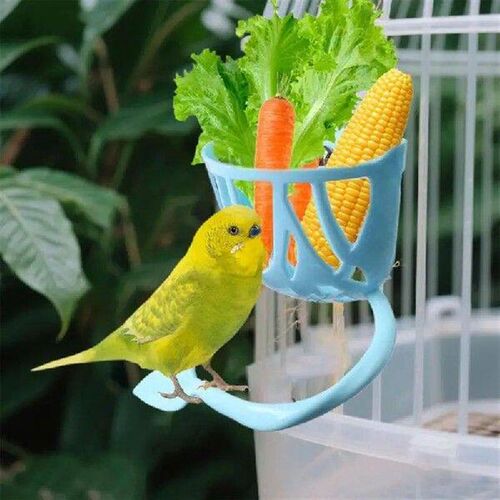 parrot vegetable and fruit feeding rack with perch