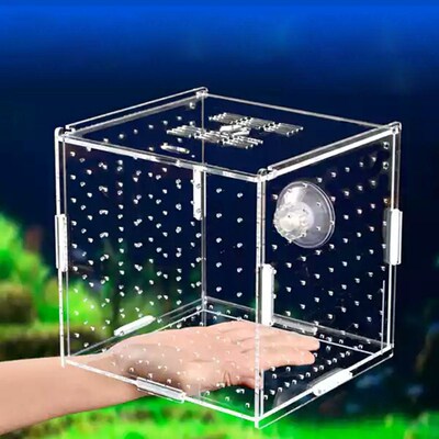 Aquarium Isolation Box Fish Tank Small Fry Breeding Box Tran