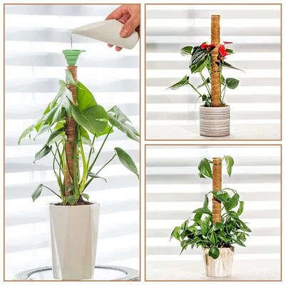 Plant Support Moss Pole Coir Climbing Stakes Bendable Extens