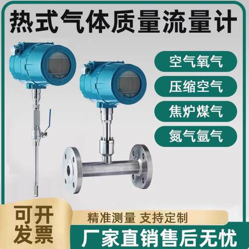 RSL-40热式气体质量流量计测量烟气液化气氧气沼气天然气优惠