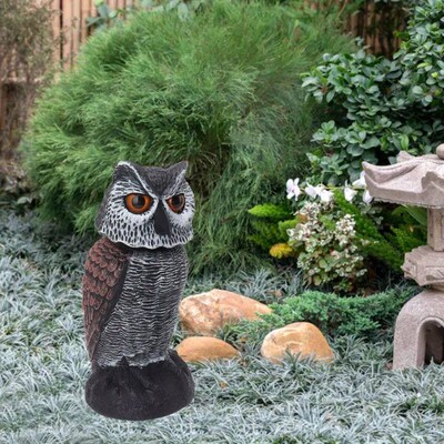 Plastic Shake Head Owl Decoy to Scare Birds Away, Scarecrow