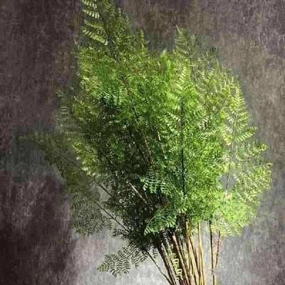 Realistic Artificial Fern Plant Branches Real Touch