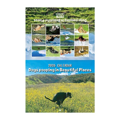 跨境新品 2026CALENDAR 狗狗大便日历 创意Dogs Pooping Calendar