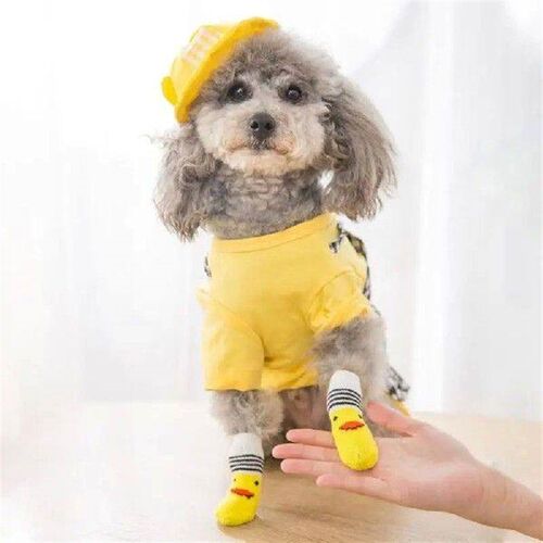 4pcs/Set Cute Puppy Dog Knit Socks Autumn Winter Pet Socks