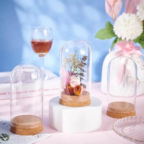 3 Set Dome Display Glass Jar with Cork 65x133mm Bell Cloche