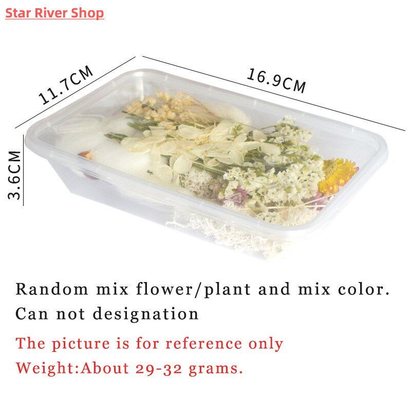 30g/box Dried Flowers for Resin PreservedFreshFlower Dried P图片