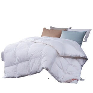 Down Duvet with Cotton Fabric Warm Quilt Comforter Blanket
