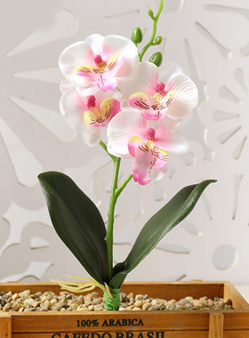 Real Touch Mini Small Orchid Artificial Flower Branch Fake P