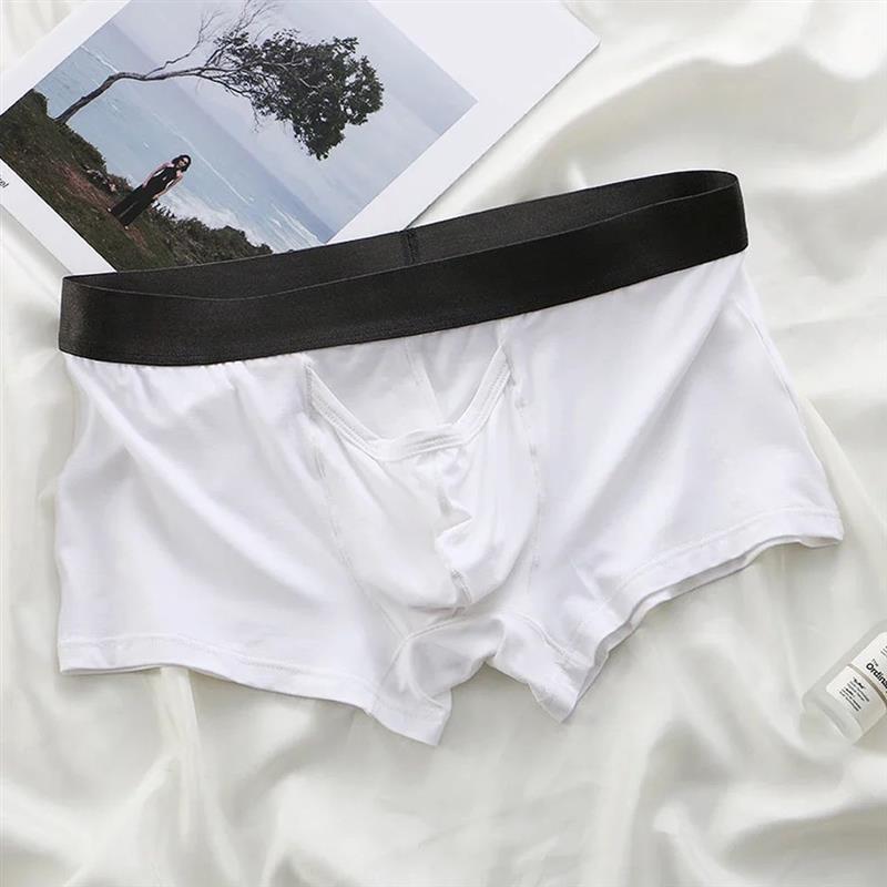 Mens Smooth Briefs Seamless Shorts Color Panties Separation