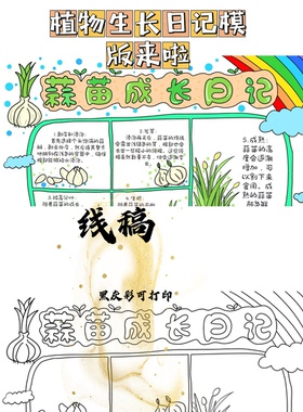 蒜苗生长日记模版 线稿需自行打印/植物手抄报