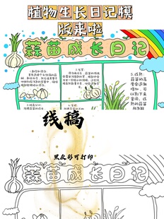 蒜苗生长日记模版 线稿需自行打印/植物手抄报