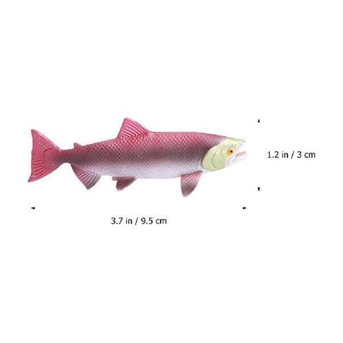 4 Pcs Rayan Toys for Kids Growth Cycle Model Sea Animal