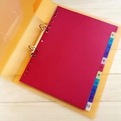 Large A4 11holes  Index Divider Loose-Leaf Colored PP Binder