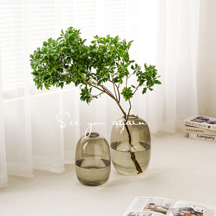 高级感花瓶客厅插花摆件玻璃水培马醉木雪柳吊钟南天竹落地装饰品