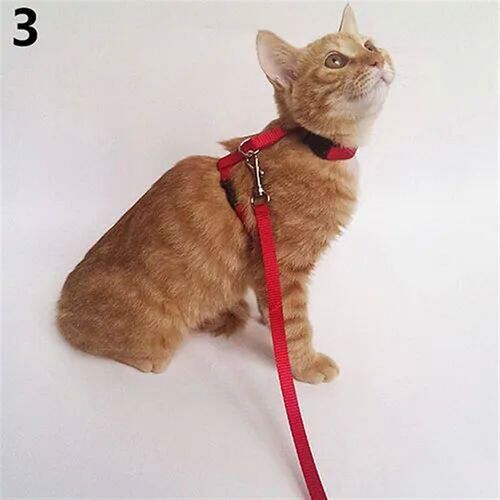 Dog Cat Collar Harness Leash Adjustable Nylon Pet Traction