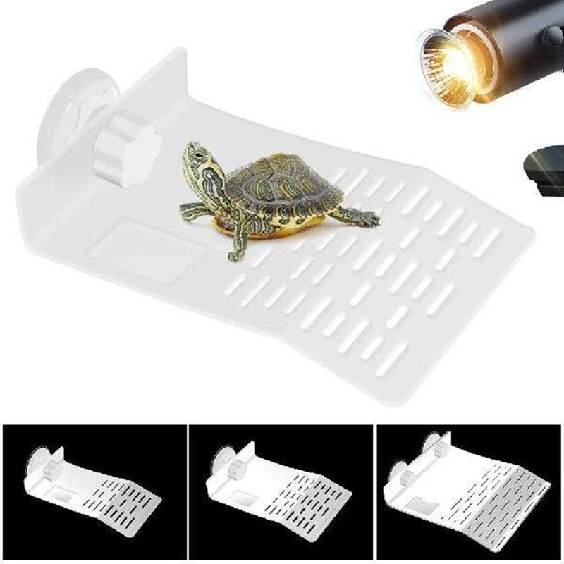 Large Transparent Turtle Basking Platform Fish Tank