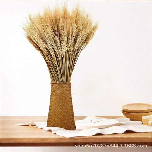 Wheat Ear Dried Flower Manufacturer Yunnan Maisui Opens Barl