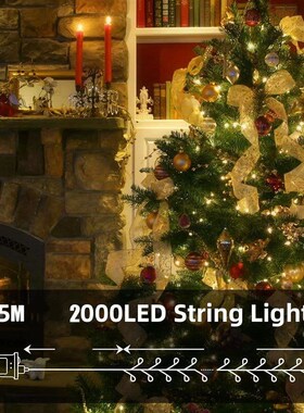 LED Firecracker String Lights EU/US DC Power Remote Control