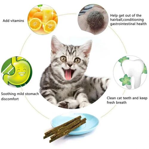 Natural Catnip Chews Snacks All Natural Catnip s Wood Tengo