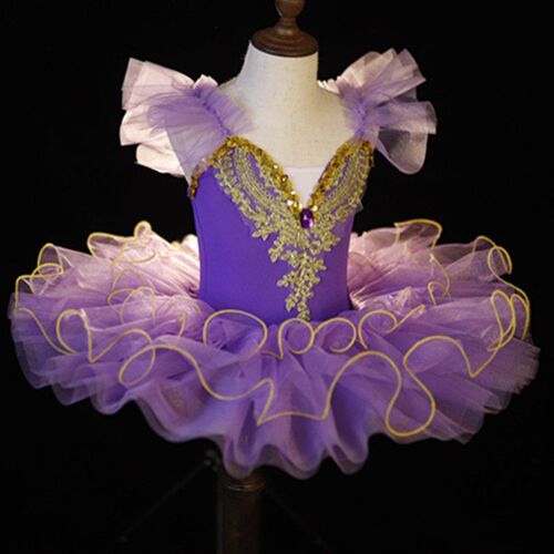 Childrens Childrens Ballet Dance Dress Girls Little Swan