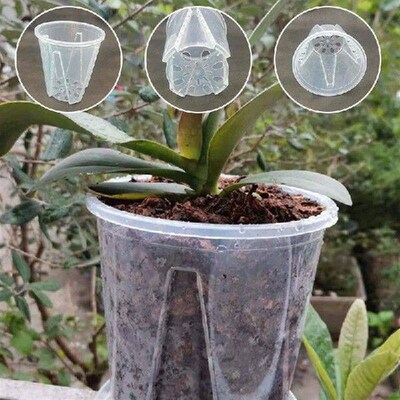 Plant Pot Transparent Nursery Pots Planting Nutrition Cup