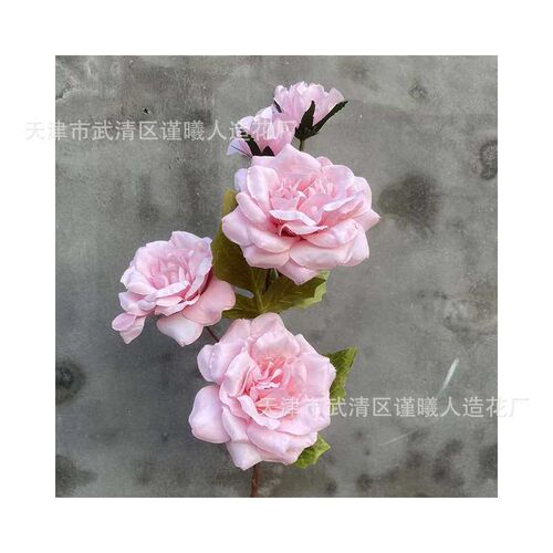 Wedding princess pink wedding theme simulation flower backgr