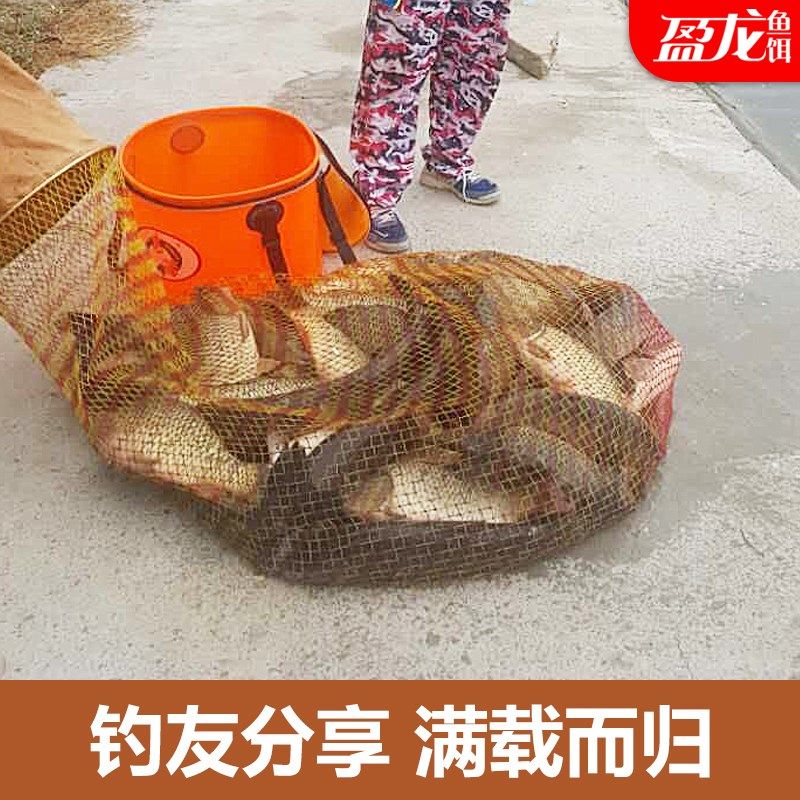 每次5克 dmpt强效诱食剂钓鱼鲫鲤草青鱼饵小药添加剂酒米窝料用品,户外/登山/野营/旅行用品,台钓饵,淘宝优惠券,粉丝福利购,淘宝优惠卷