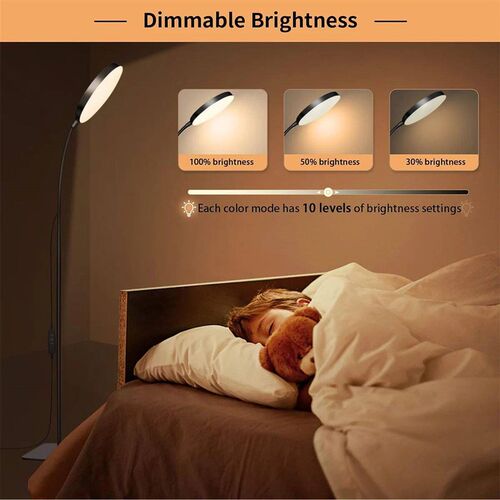 LED Floor Lamp Changeable Reading Lamp with Flexible Goosene