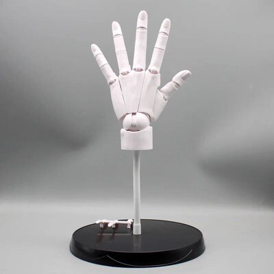 37cm Human Hand Model With Movable Finger Joints  Simulation