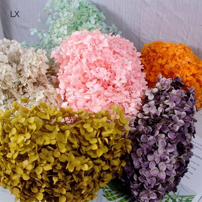 Hydrangea Eternal Flower Yunnan Eternal Flower Dried Flower