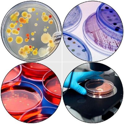 20 Pcs Petri Dish for Culture Yeast Laboratory Square