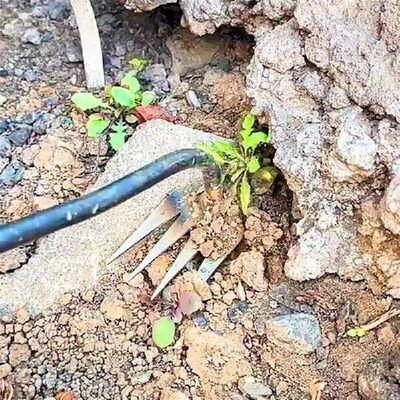 Garden Grass Weeder 4 Teeth Plants Grass Root Weeding Hand