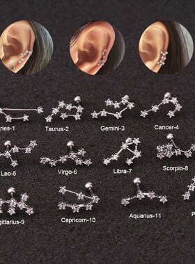 New Stainless Steel Twelve Constellation Ear Piercing Jewelr