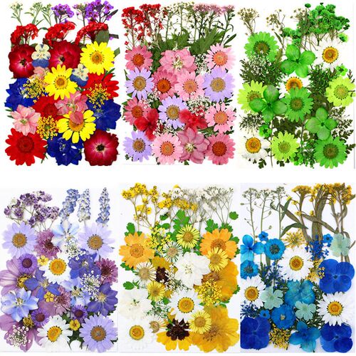 Dried Flower Embossing Material Package Pressed Flower Combi