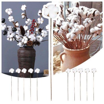 Dried Room Ornaments Decoration Simulation Living Bedroom