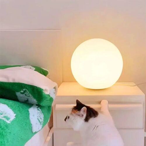 Decorative Ball Table Lamp Bedside Nightlight Girls Ins Gift