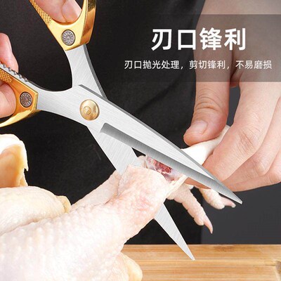 Powerful Multi-functional Scissors, Household Stainless Stee