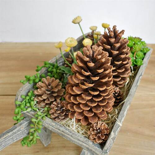 10pcs Decoration Pine Cones Pinecone Xmas New Year