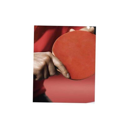 2 pcs Table Tennis Racket Set with 3 ball Play Ping Pong Pad