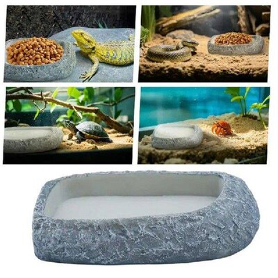 Tortoise Water Dish Reptile Terrarium Food Feeding Bowl