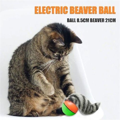 Electric Beaver Weasel Rolling Ball Pet Dog Cat Interactive