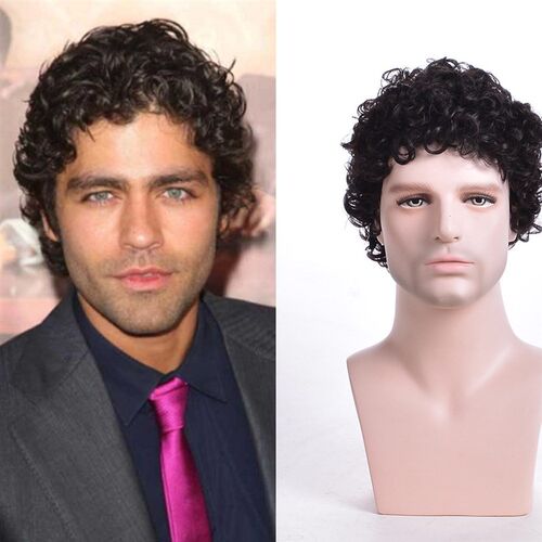 Mens Wigs Fashion Short Curly Wigs Black Small Curly Chemic