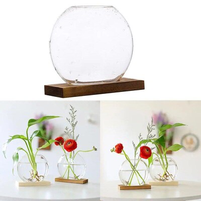 Mini Hydroponic Plants Vase Home Decorative Planter for Tabl
