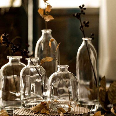 Transparent glass small vase living room flower arrangement