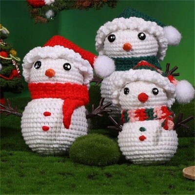 DIY Crochet Starter with Yarn, Hook, Needle, Knitting