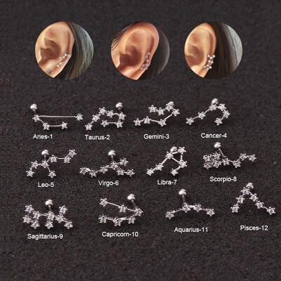 New Stainless Steel Twelve Constellation Ear Piercing Jewelr